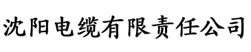 波多野结衣av一区二区电缆厂logo